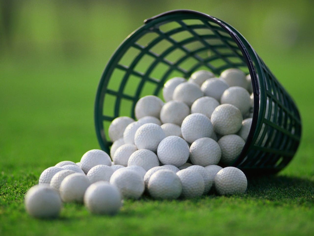 Känner du någon som vill börja spela golf? 🏌️🏌️